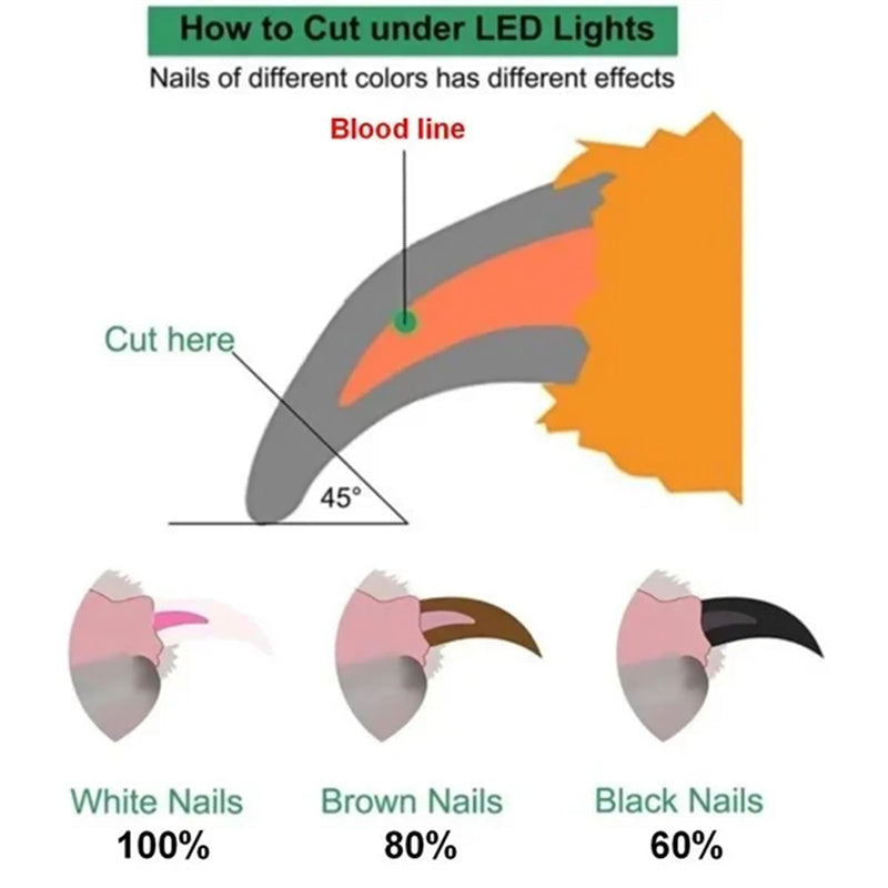 Pet Nail Clippers With LED Light Dogs Cat Nail Scissors Professional Trimmer Tool Care Grooming Supplies - Rokkaku 18 online shop