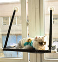 Cat bed cat hammock cat hammock window sill single layer double layer super suction cup cat cushion nest cat litter pet - Rokkaku 18 online shop
