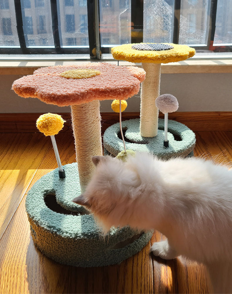 Cat Scratch Board Grinding Cat Claws Cat Toys - Rokkaku 18 online shop