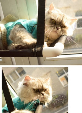 Cat bed cat hammock cat hammock window sill single layer double layer super suction cup cat cushion nest cat litter pet - Rokkaku 18 online shop
