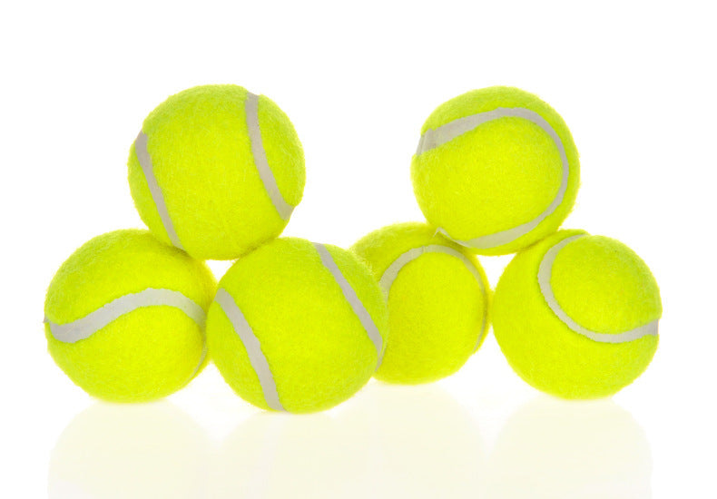 Dog Pet Automatic Interactive Ball Launcher - Rokkaku 18 online shop