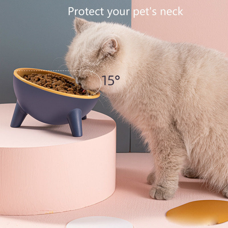 Cat Dog Bowl With Stand Pet Feeding Food Bowls Dogs Bunny Rabbit Nordic Color Feeder Product Supplies Pet Accessories - Rokkaku 18 online shop