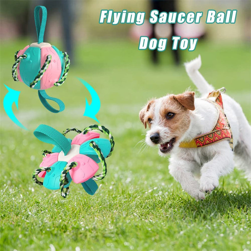 Interactive Dog Football Soccer Ball With Tabs Inflated Training Toy Outdoor Border Collie Balls Pet Products - Rokkaku 18 online shop