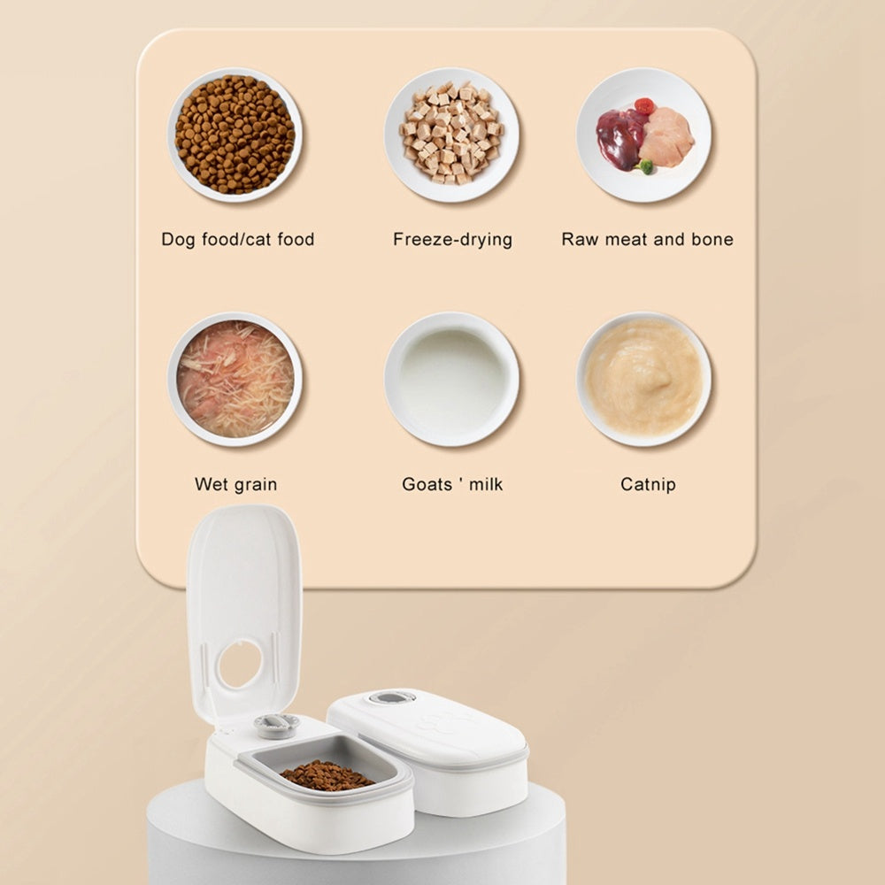 Automatic Pet Feeder Smart Food Dispenser For Cats Dogs Timer Stainless Steel Bowl Auto Dog Cat Pet Feeding Pets Supplies - Rokkaku 18 online shop
