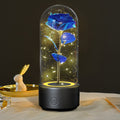 Creative 2 In 1 Rose Flowers LED Light And Bluetooth-compatible Speaker Valentine's Day Gift Rose Luminous Night Light Ornament In Glass Cover - Rokkaku 18 online shop