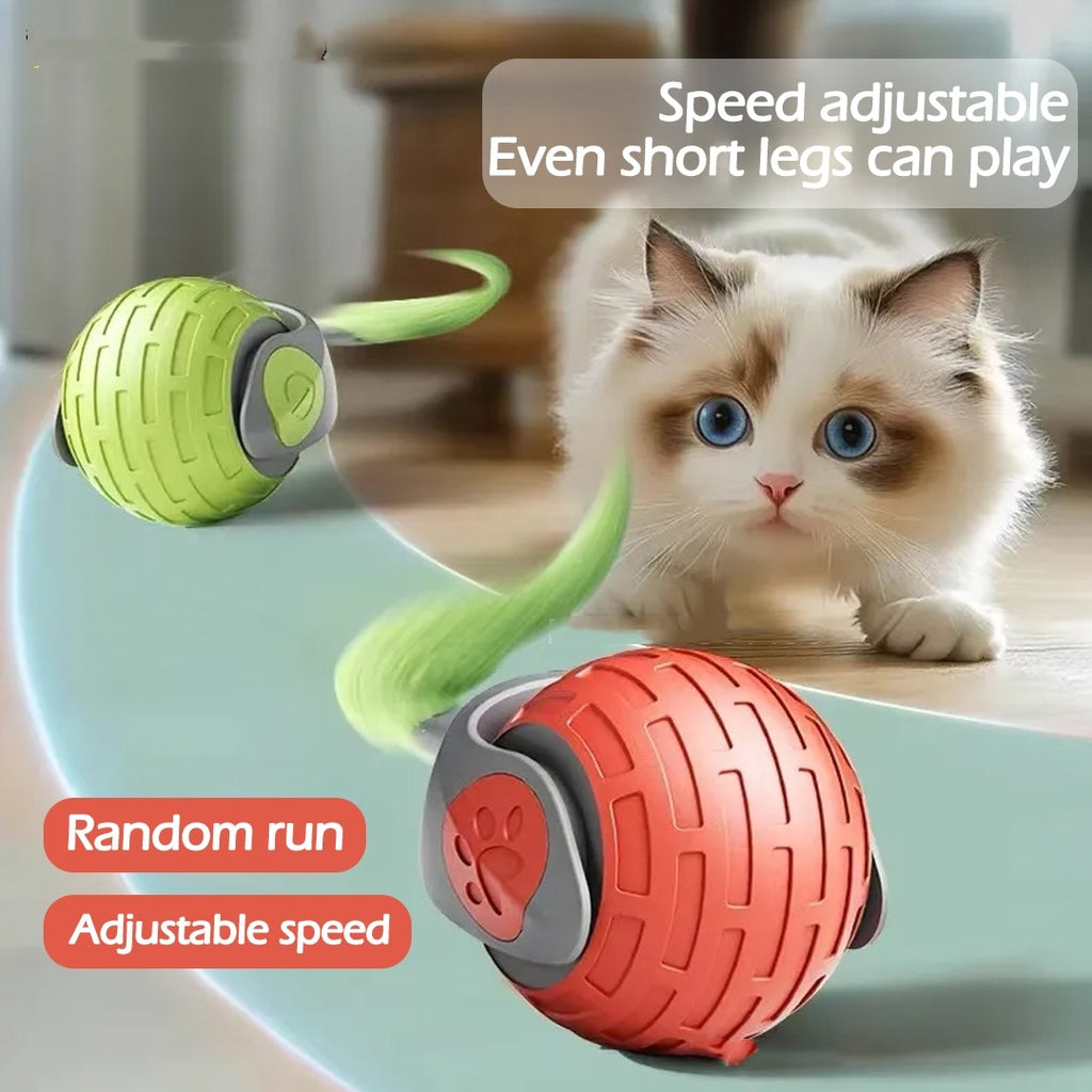 New Interactive Cat Toys Ball Auto Electric Rolling Ball Toys For Cat Kitty Pets Smart Automatic Teaser USB Rechargeable Cat Toy Pet Products - Rokkaku 18 online shop