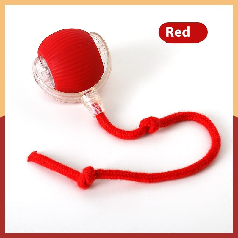 Interactive Cat Toy Ball Super Drive Cat Rolling Ball - Rokkaku 18 online shop