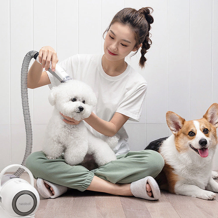 Pet Grooming Tool For Shaving And Grooming - Rokkaku 18 online shop
