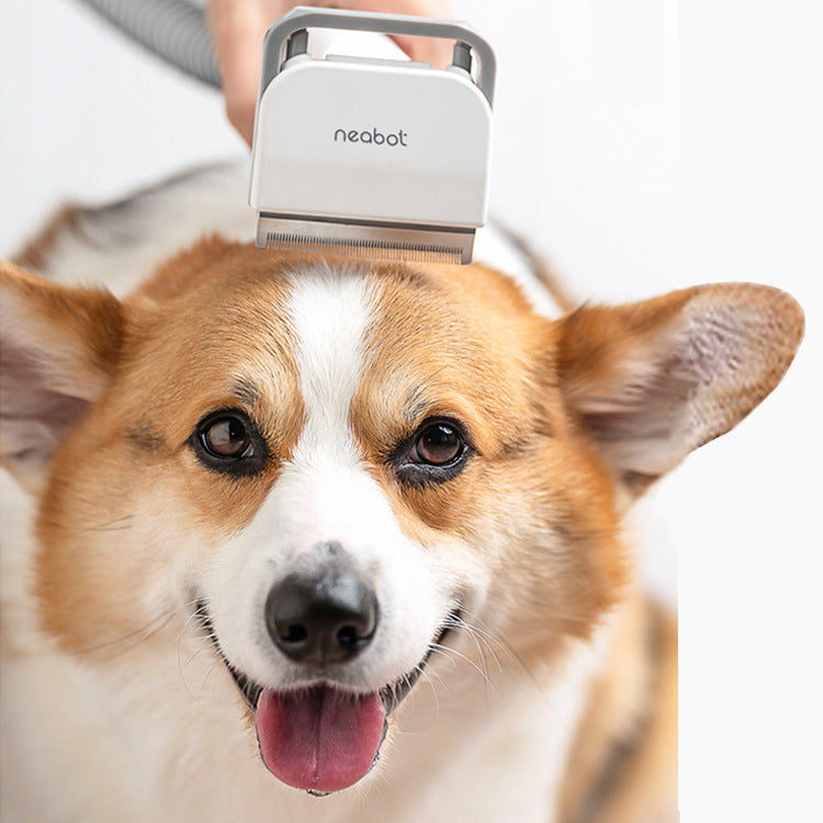 Pet Grooming Tool For Shaving And Grooming - Rokkaku 18 online shop