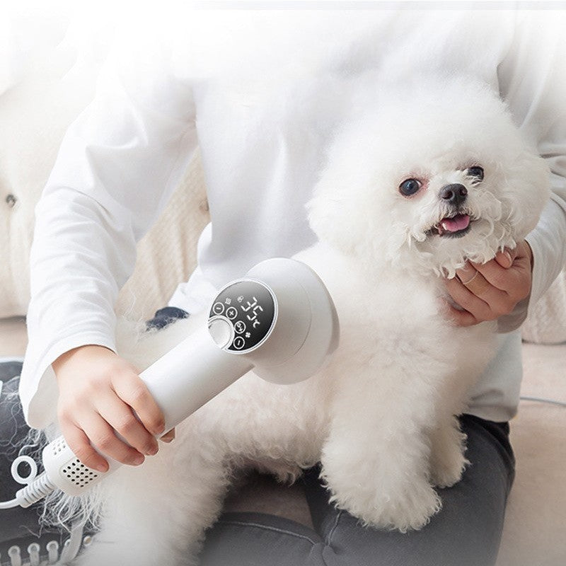 Smart Pet Hair Dryer Dog Golden Retriever Cat Grooming Hairdressing Blow & Comb Silent No Harm Pet Cleaning Supplies Pet Products - Rokkaku 18 online shop