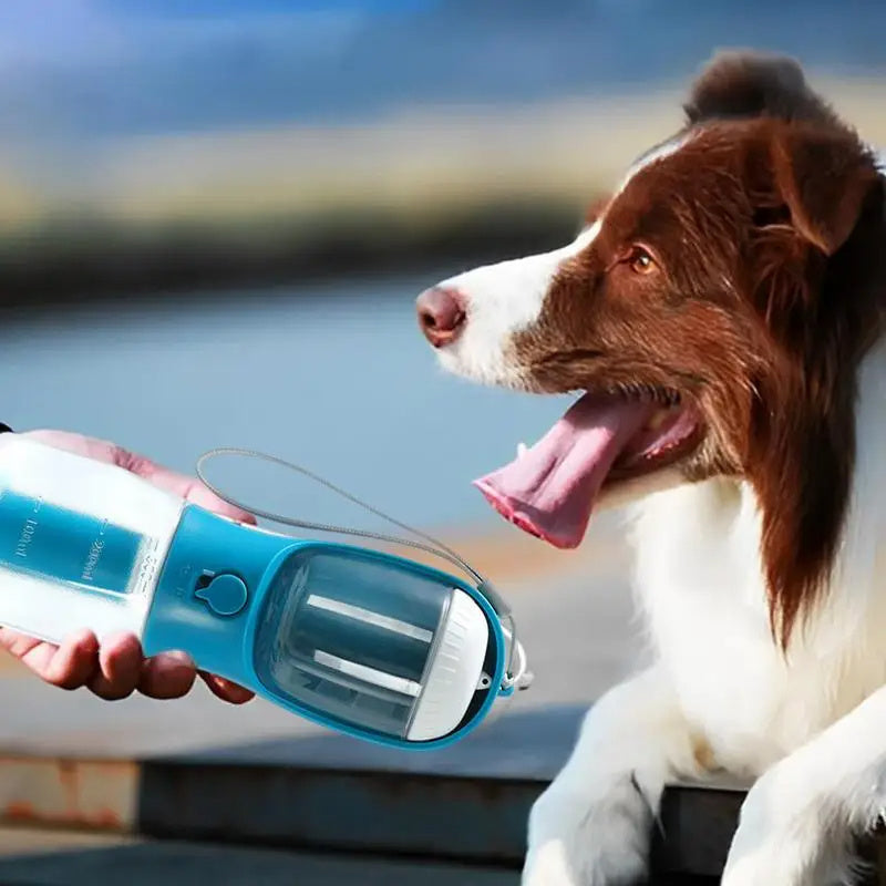 Dog Water Cup Drinking Food Garbage Bag Three-in-one Portable Small Multi-functional Pet Cups Pets Supplies - Rokkaku 18 online shop