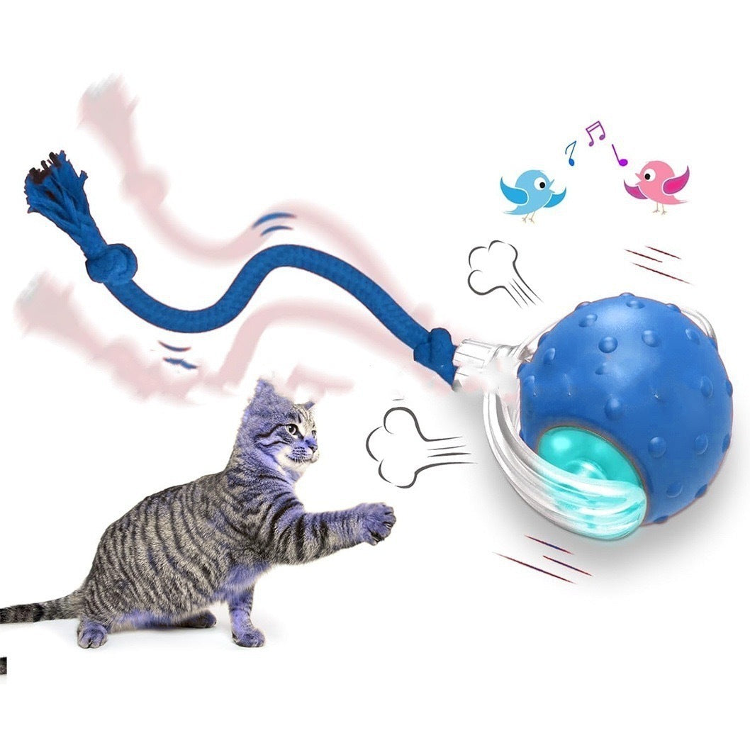 Interactive Cat Toy Ball Super Drive Cat Rolling Ball - Rokkaku 18 online shop