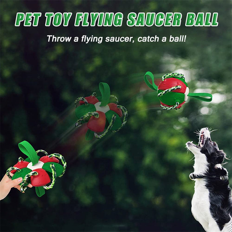 Interactive Dog Football Soccer Ball With Tabs Inflated Training Toy Outdoor Border Collie Balls Pet Products - Rokkaku 18 online shop