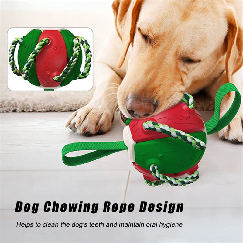 Interactive Dog Football Soccer Ball With Tabs Inflated Training Toy Outdoor Border Collie Balls Pet Products - Rokkaku 18 online shop