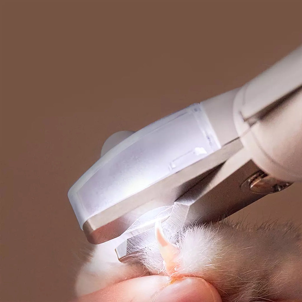 Professional Pet Nail Clipper Scissors Pet Dog Cat Nail Toe Claw Clippers Scissor LED Light Nail Trimmer For Animals Pet - Rokkaku 18 online shop