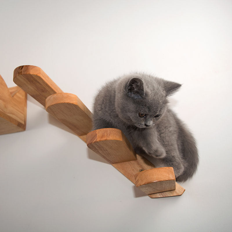 Cats Climbing Ladders On Solid Wood Walls, Rubber Wood Springboards And Stair Toys - Rokkaku 18 online shop
