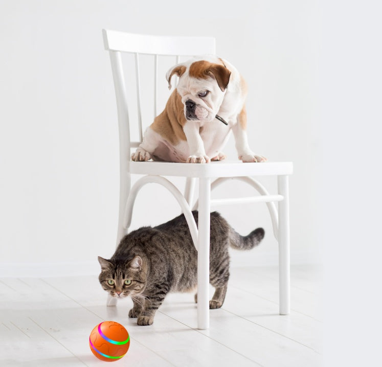 Pet New Cat Wicked Ball Toy Intelligent Ball USB Cat Toys Self Rotating Ball Automatic Rotation Ball - Rokkaku 18 online shop