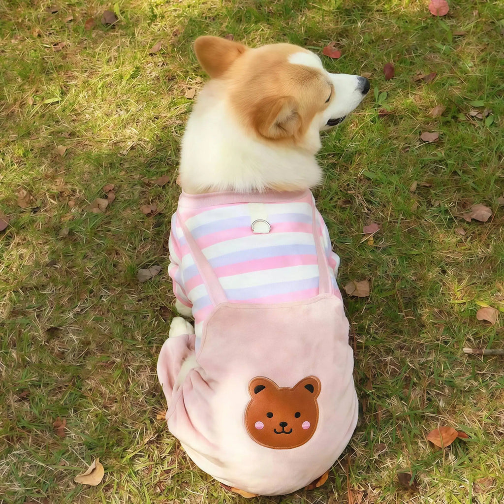 Autumn Winter Pet Dog Soft Fleece Clothes Warm Jumpsuit Coat for Small Medium Large Dog Cat Puppy Jacket Sweater with Leash Ring