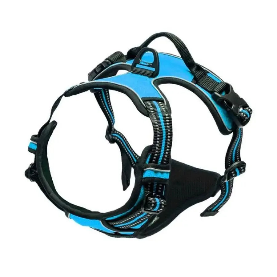 Dog Collars Harness Big Vtests Leash Pet Shop Everything for Dogs Leather Puppy Accessories Medium Small Set