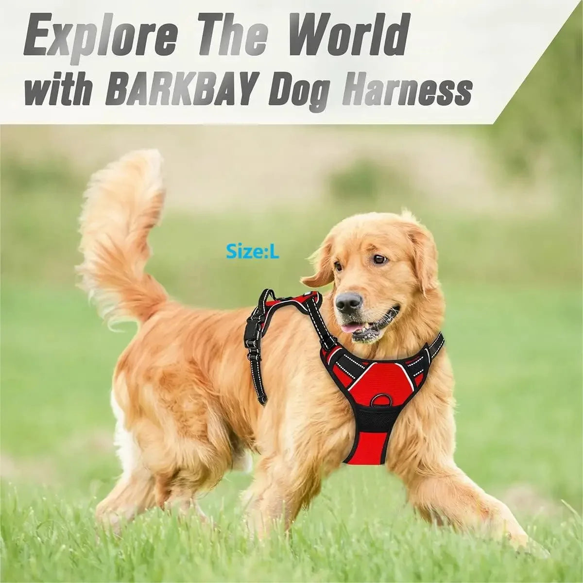 Dog Collars Harness Big Vtests Leash Pet Shop Everything for Dogs Leather Puppy Accessories Medium Small Set