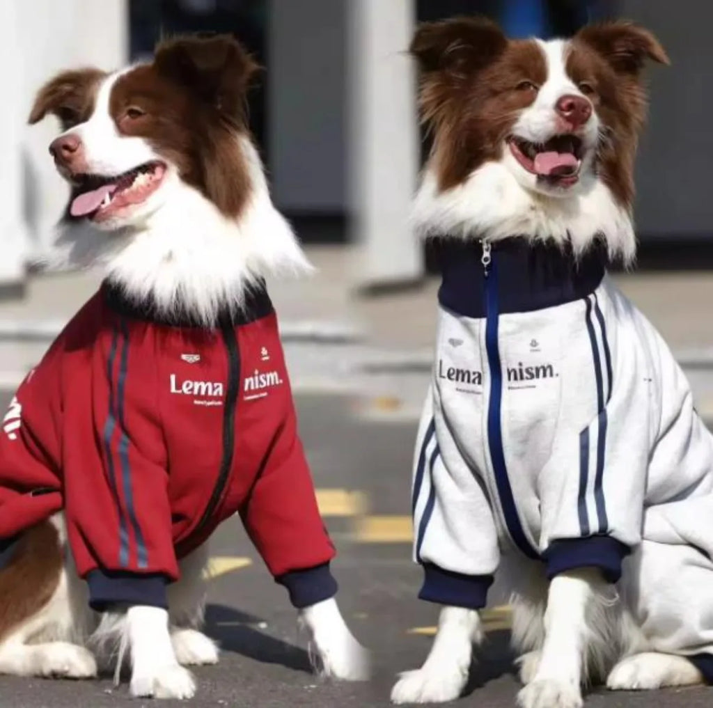 Winter Waterproof Dog Warm Coat Pet Jacket Sweatshirt Costume For Large Dogs French Bulldog