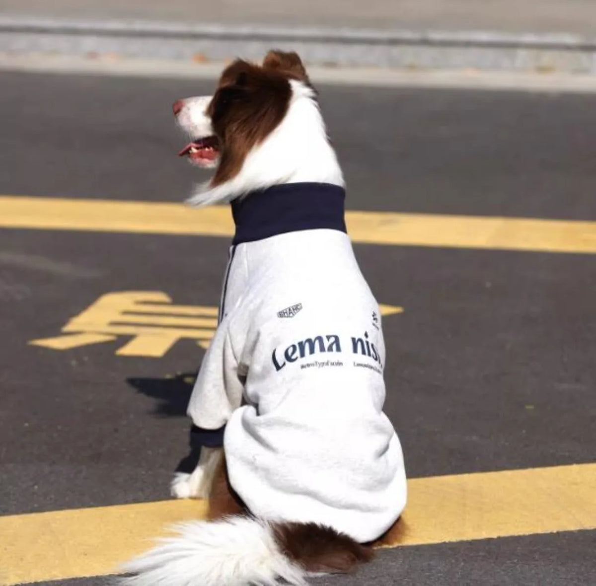Winter Waterproof Dog Warm Coat Pet Jacket Sweatshirt Costume For Large Dogs French Bulldog