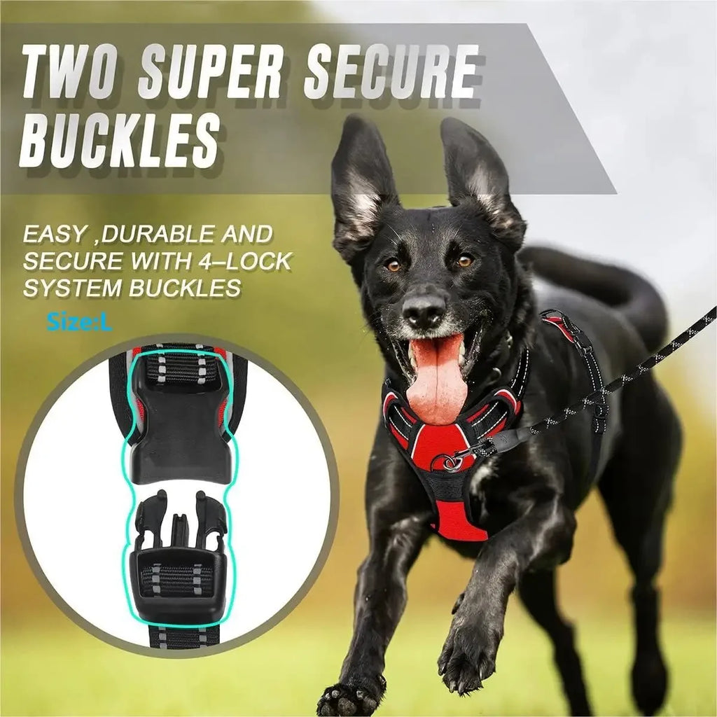Dog Collars Harness Big Vtests Leash Pet Shop Everything for Dogs Leather Puppy Accessories Medium Small Set