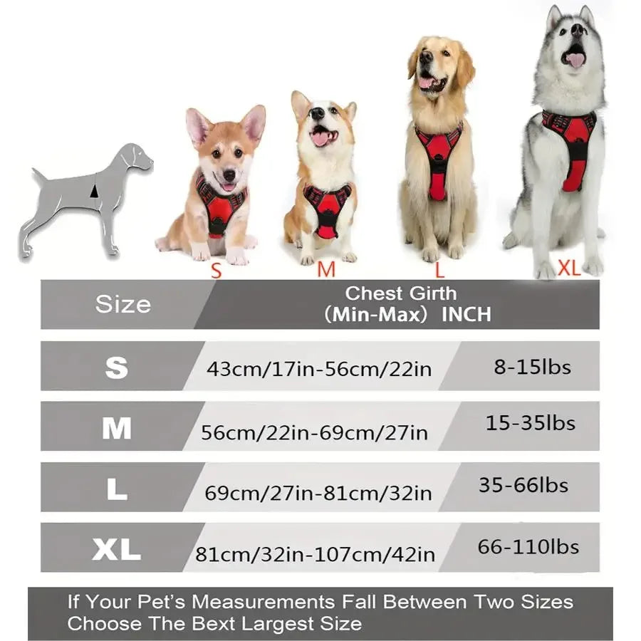 Dog Collars Harness Big Vtests Leash Pet Shop Everything for Dogs Leather Puppy Accessories Medium Small Set