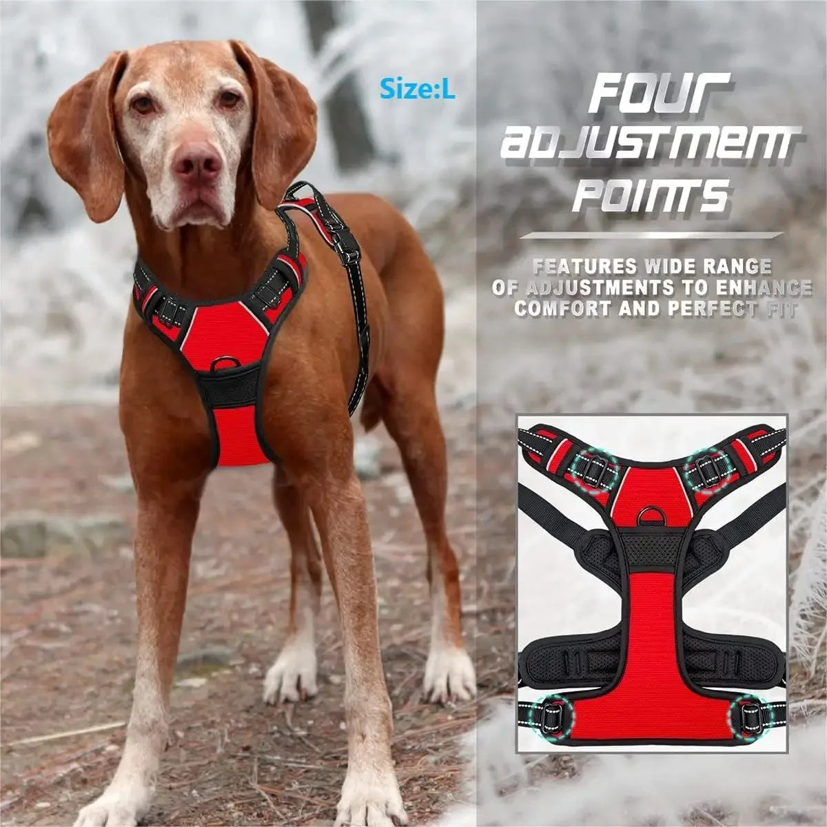 Dog Collars Harness Big Vtests Leash Pet Shop Everything for Dogs Leather Puppy Accessories Medium Small Set