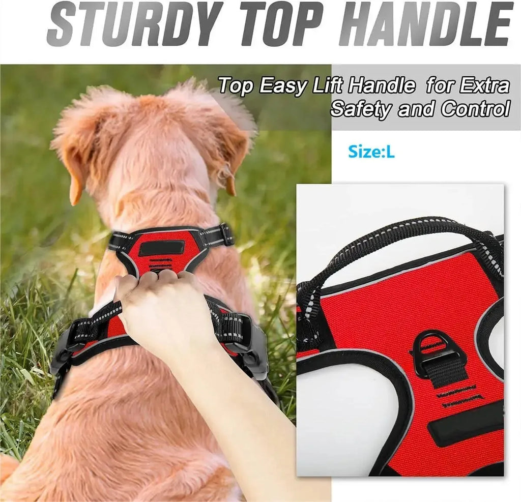 Dog Collars Harness Big Vtests Leash Pet Shop Everything for Dogs Leather Puppy Accessories Medium Small Set