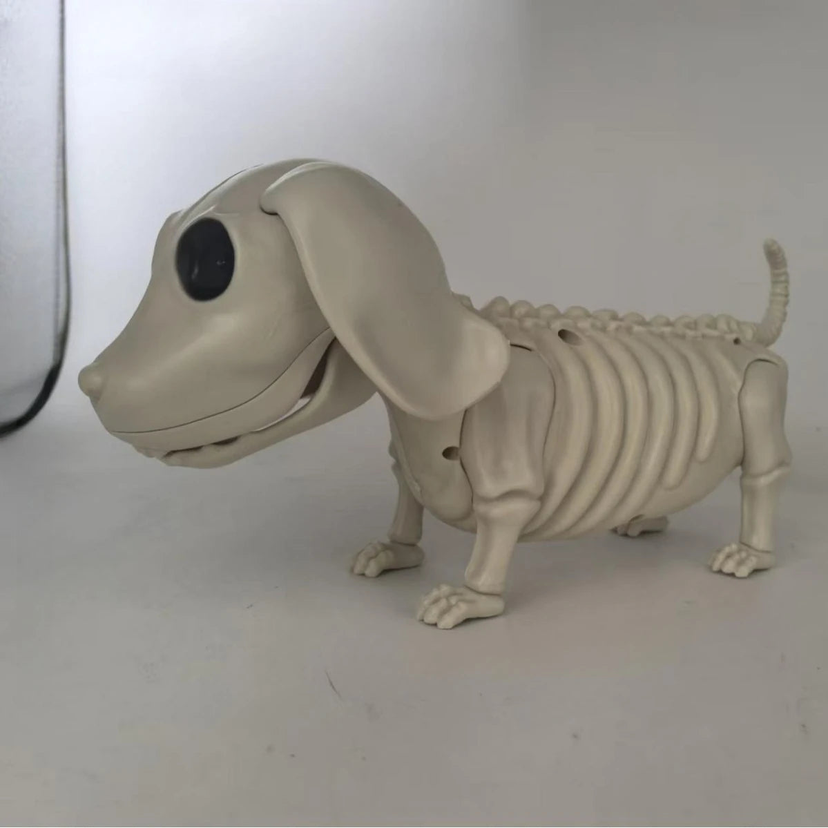 Halloween Animal Skeleton Cat and Dog Skeleton Model Ornaments Halloween Horror Decorations Ghost House Decoration Props