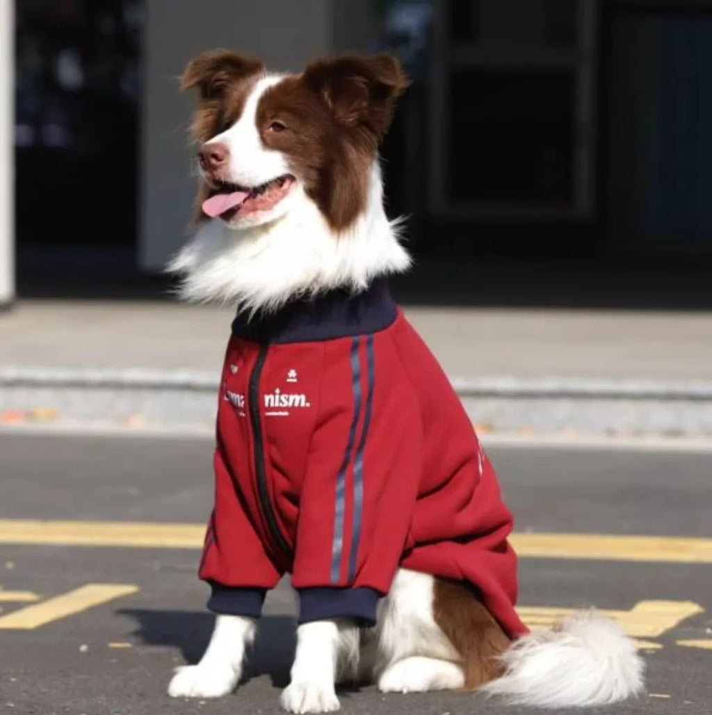 Winter Waterproof Dog Warm Coat Pet Jacket Sweatshirt Costume For Large Dogs French Bulldog