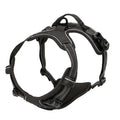 Dog Collars Harness Big Vtests Leash Pet Shop Everything for Dogs Leather Puppy Accessories Medium Small Set