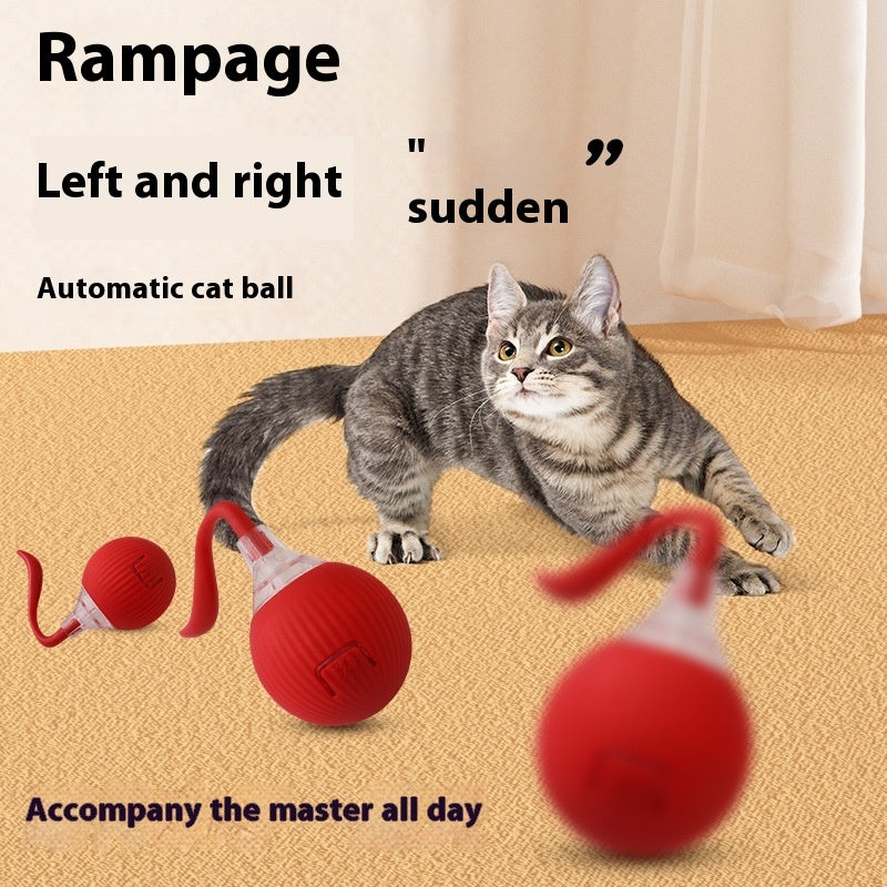 Interactive Cat Toy Ball Super Drive Cat Rolling Ball - Rokkaku 18 online shop