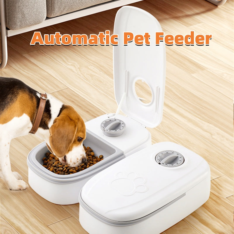 Automatic Pet Feeder Smart Food Dispenser For Cats Dogs Timer Stainless Steel Bowl Auto Dog Cat Pet Feeding Pets Supplies - Rokkaku 18 online shop