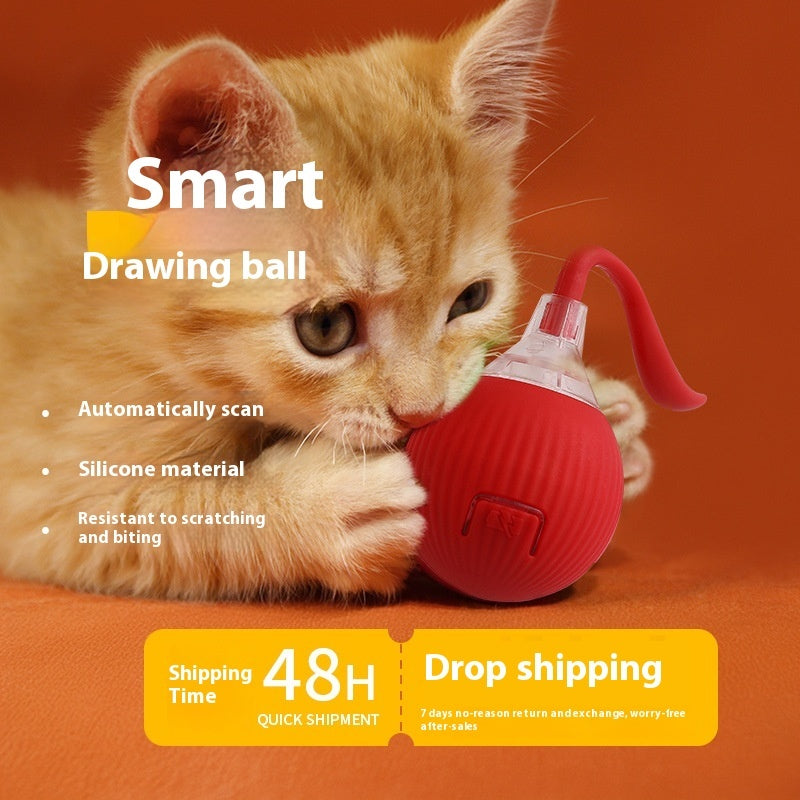 Interactive Cat Toy Ball Super Drive Cat Rolling Ball - Rokkaku 18 online shop