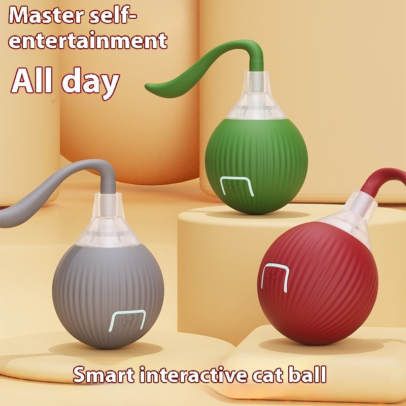 Interactive Cat Toy Ball Super Drive Cat Rolling Ball - Rokkaku 18 online shop