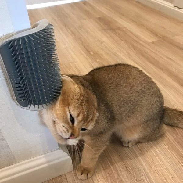 Cat Self-Grooming Brush Pet Wall Rubbing Device - Rokkaku 18 online shop