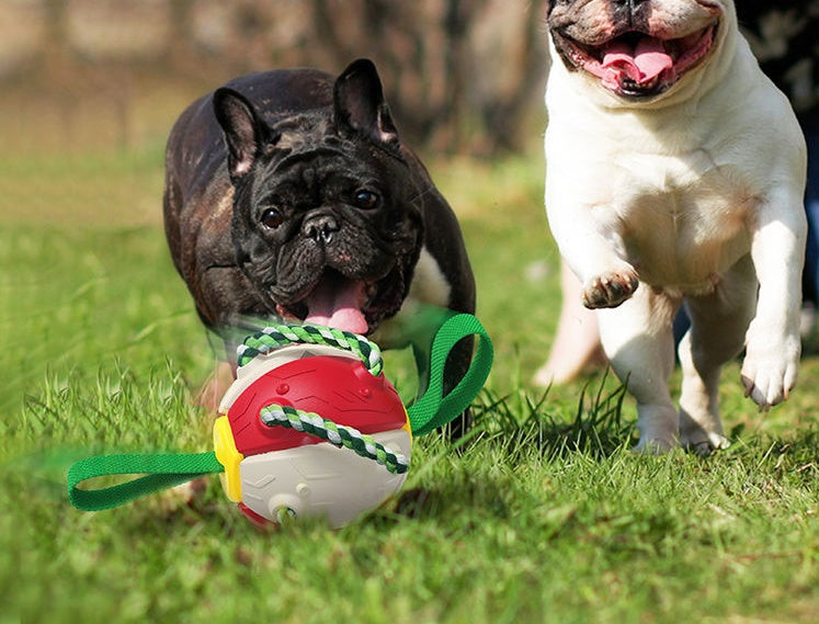 Interactive Dog Football Soccer Ball With Tabs Inflated Training Toy Outdoor Border Collie Balls Pet Products - Rokkaku 18 online shop