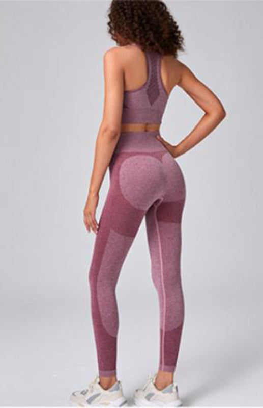 Women's Seamless Mesh Quick Dry Bra Yoga Set - Rokkaku 18 online shop