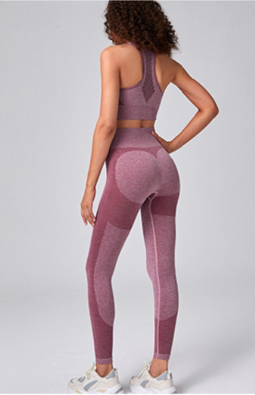 Women's Seamless Mesh Quick Dry Bra Yoga Set - Rokkaku 18 online shop